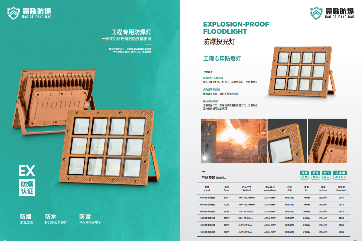 中山豪歌防爆照明有限公司(图5)